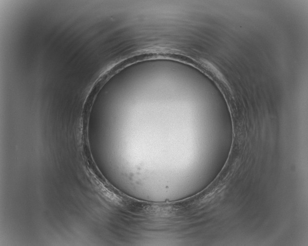 X0000072950831200608041305