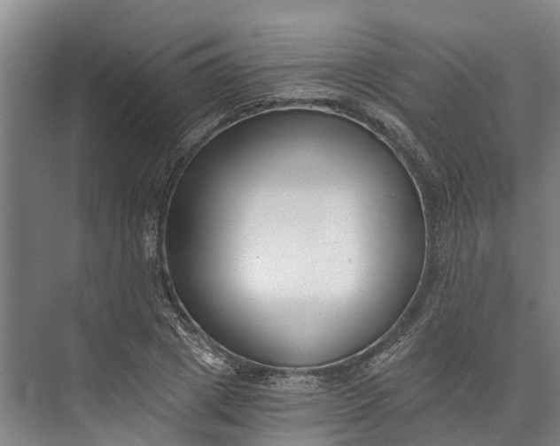 X0000072950833200608041305