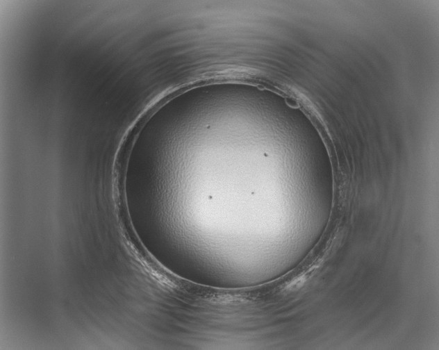 X0000072950835200608041305