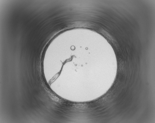 X0000072950836200608041305