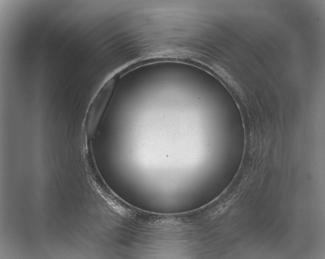 X0000072950838200608041305