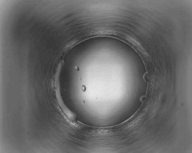 X0000072950841200608041305