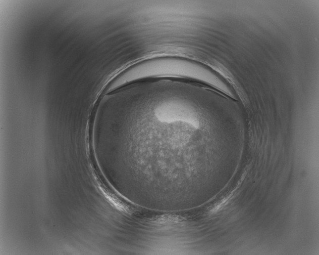 X0000072950842200608041305