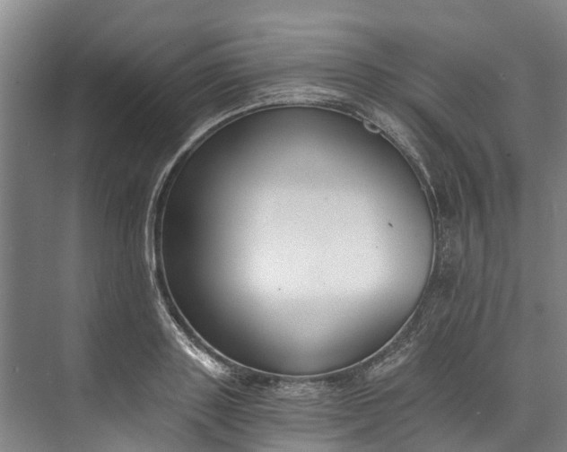 X0000072950843200608041305