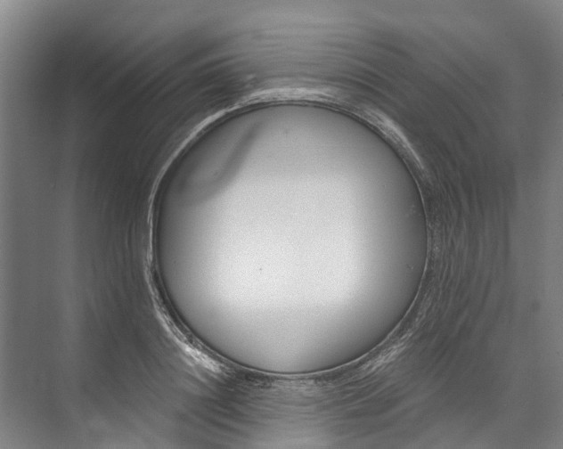 X0000072950844200608041305