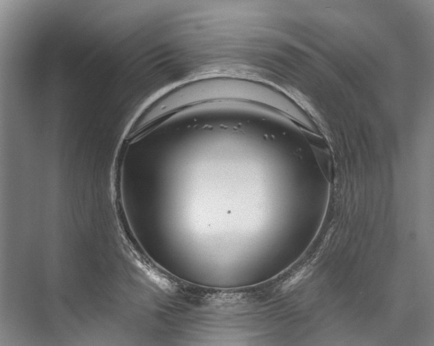 X0000072950846200608041306