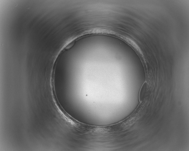 X0000072950847200608041306