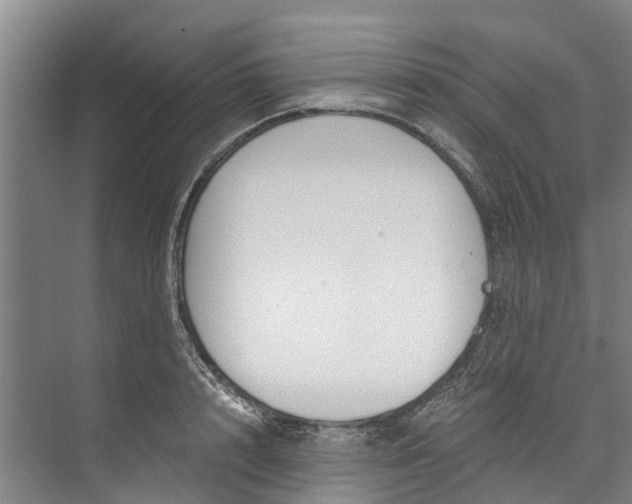 X0000072950848200608041306