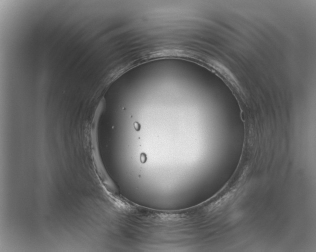 X0000072950849200608041306