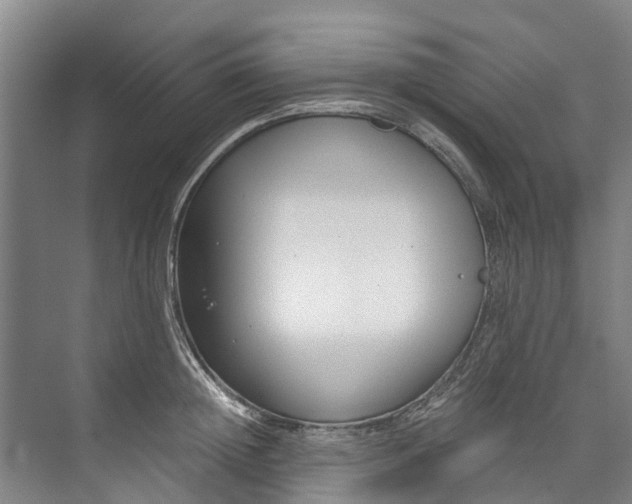 X0000072950852200608041306