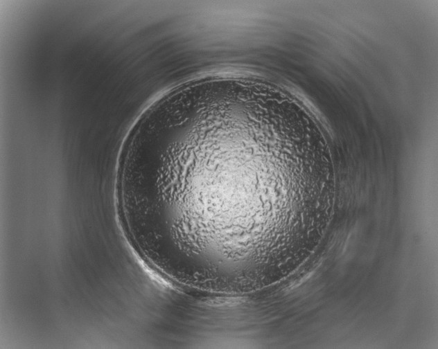 X0000072950853200608041306