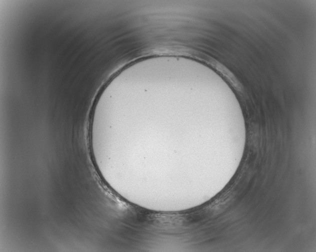 X0000072950856200608041306