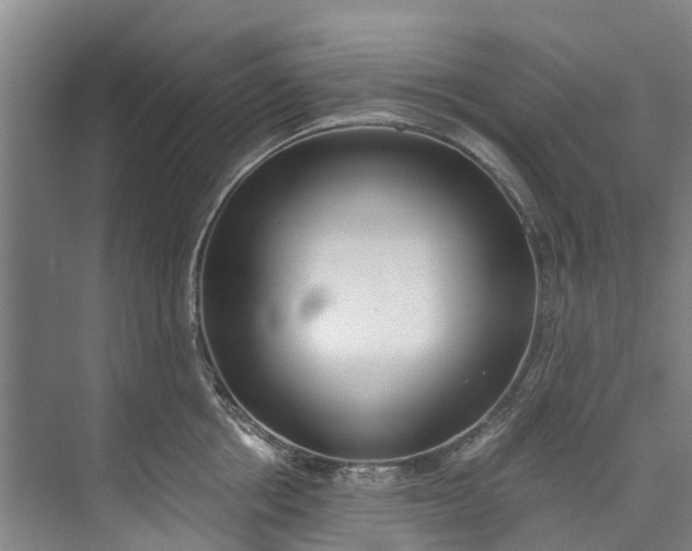 X0000072950858200608041306