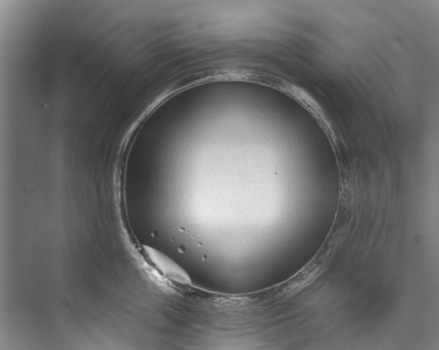 X0000072950859200608041306