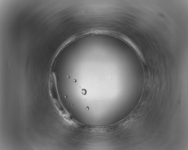 X0000072950861200608041306