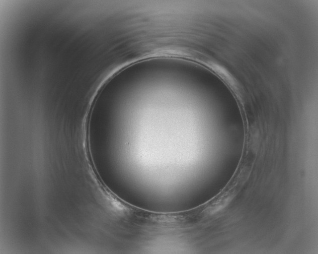 X0000072950862200608041306