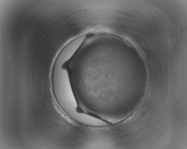 X0000072950864200608041306