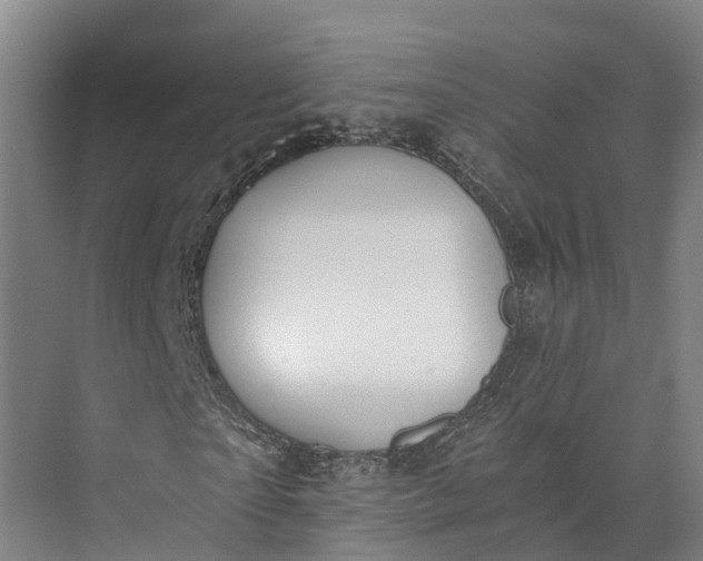 X0000072950865200608041305