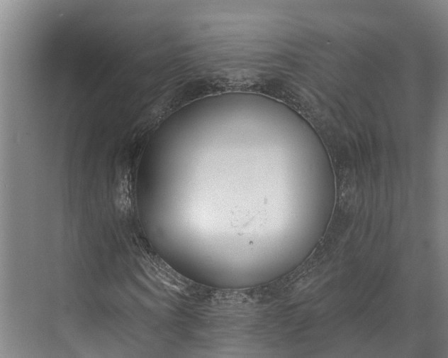 X0000072950866200608041305