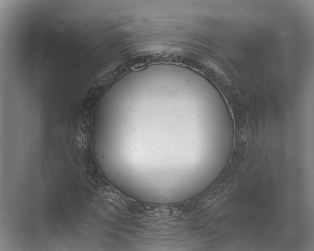 X0000072950869200608041305