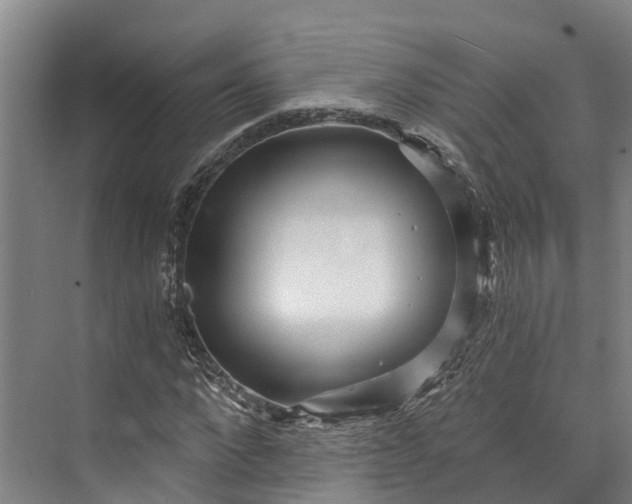 X0000072950872200608041305