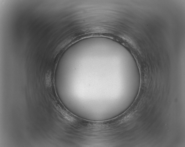 X0000072950873200608041305