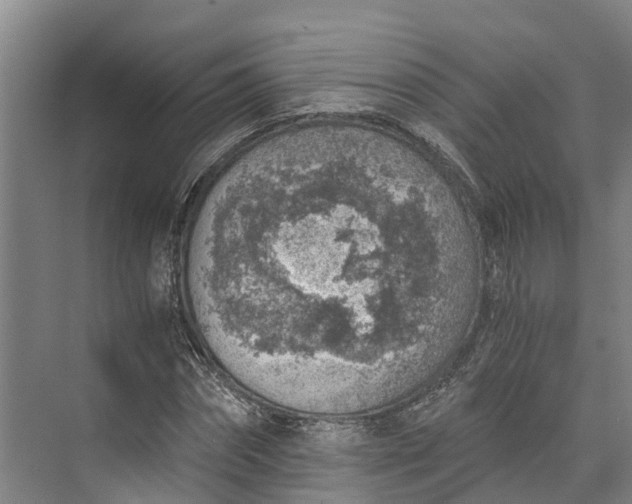 X0000072950874200608041305