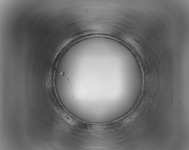 X0000072950875200608041305