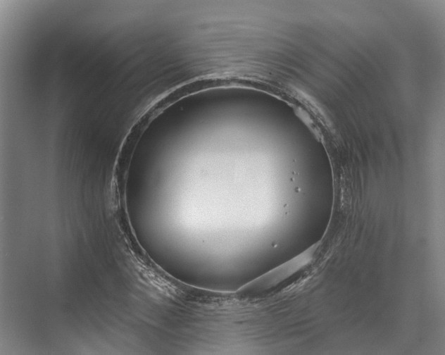 X0000072950876200608041305