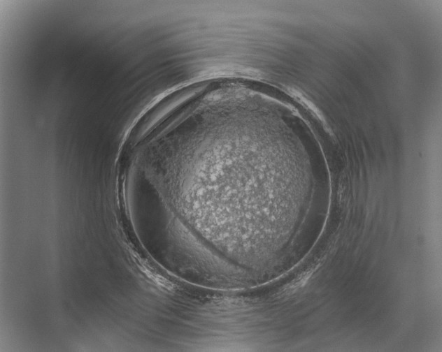 X0000072950877200608041305