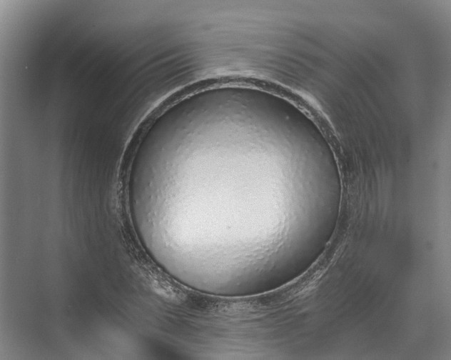 X0000072950879200608041305