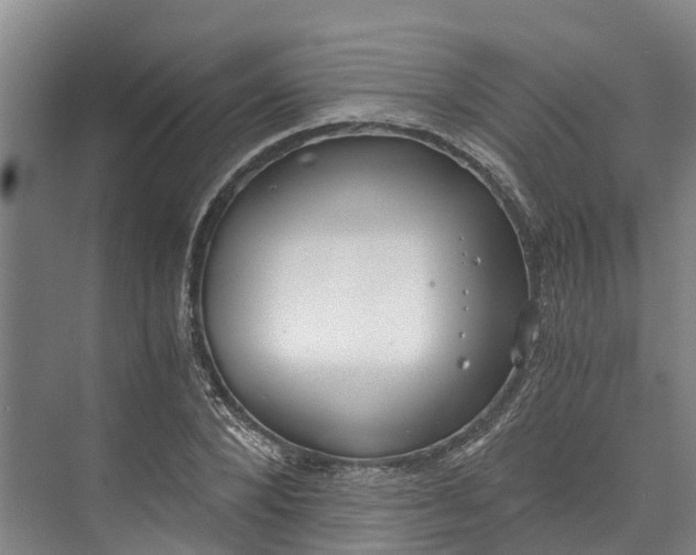 X0000072950880200608041305