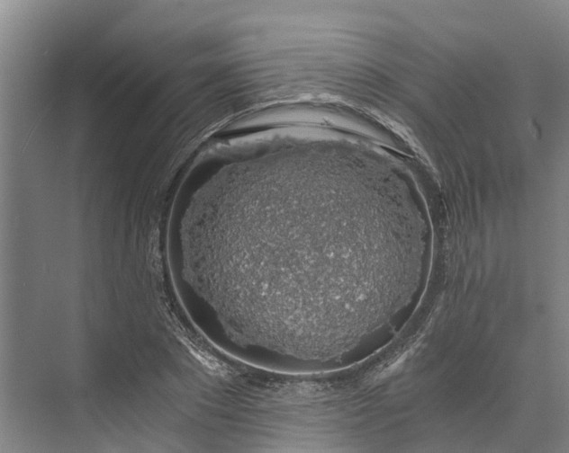 X0000072950881200608041305