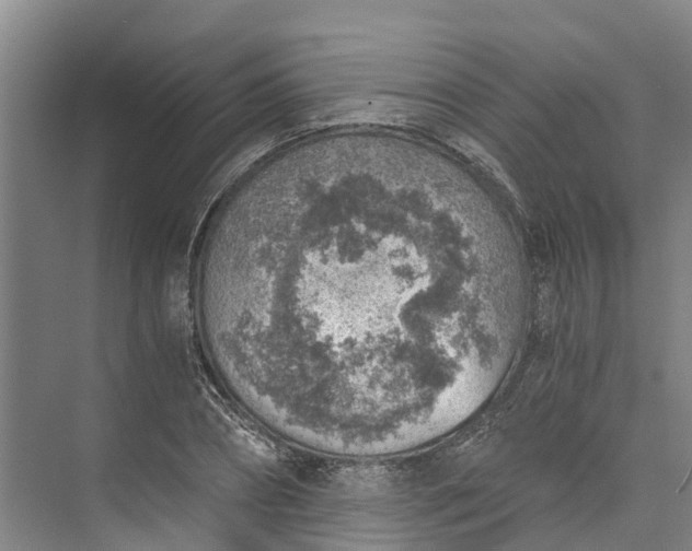 X0000072950882200608041305