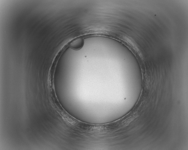 X0000072950883200608041305