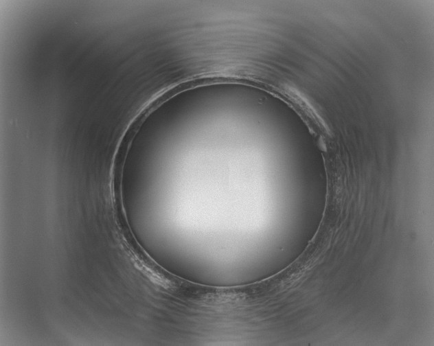 X0000072950884200608041305