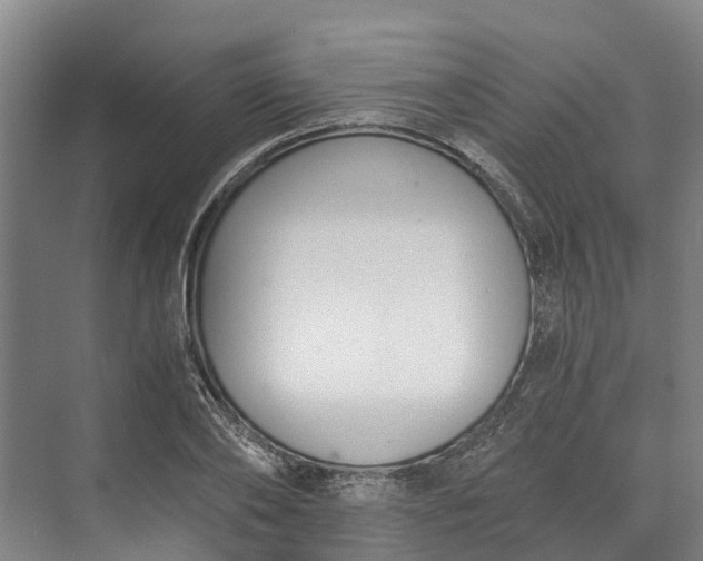 X0000072950886200608041305