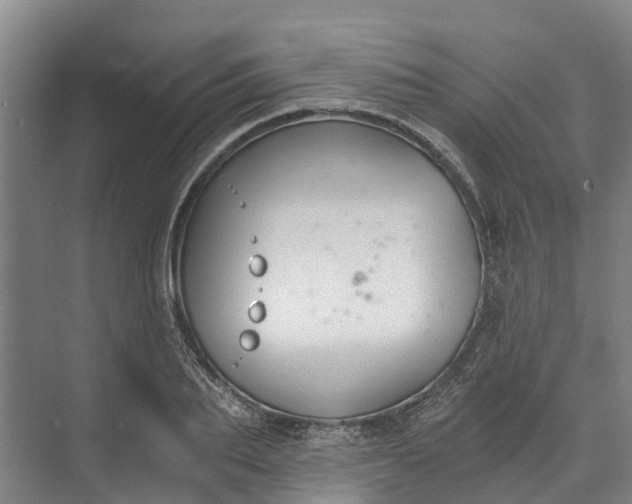 X0000072950887200608041305