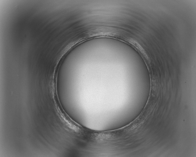 X0000072950890200608041305