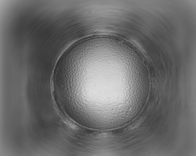 X0000072950891200608041305