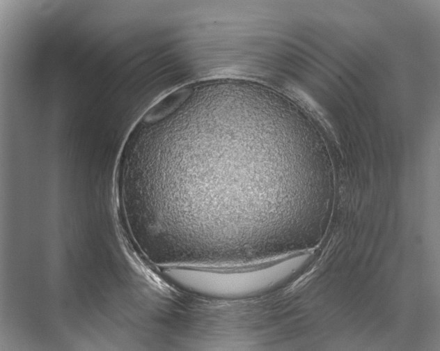 X0000072950892200608041305