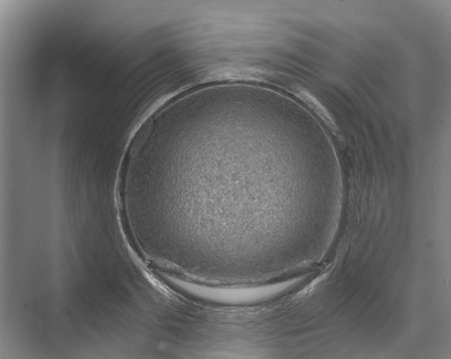 X0000072950893200608041305