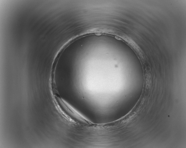 X0000072950896200608041304