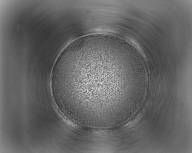 X0000072950899200608041304