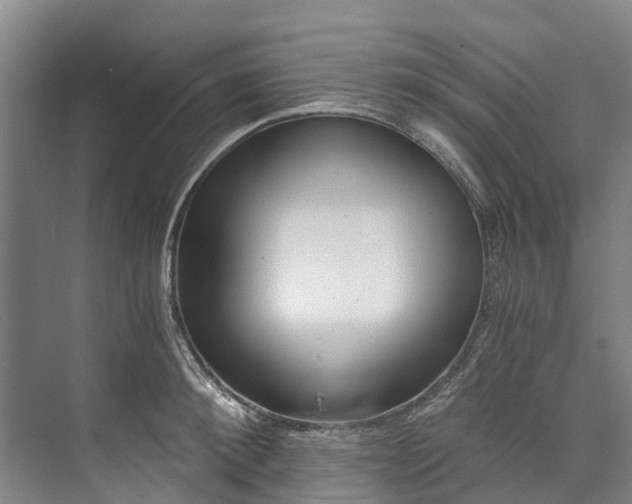 X0000072950900200608041304