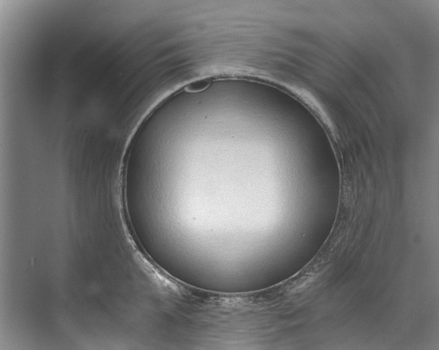 X0000072950903200608041304