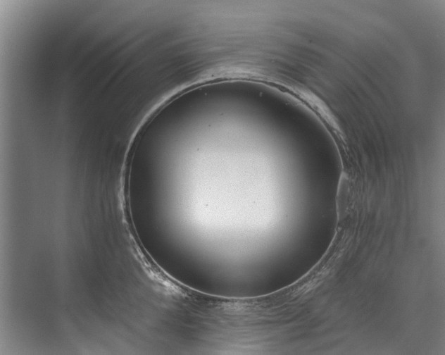 X0000072950904200608041304