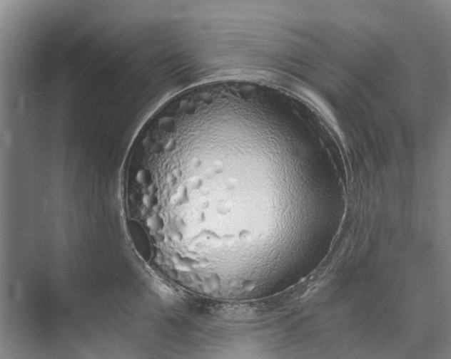 X0000072950907200608041304