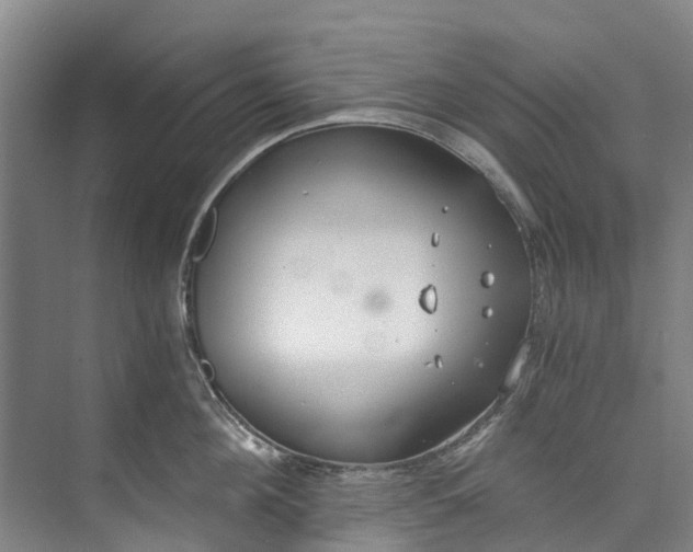 X0000072950908200608041304