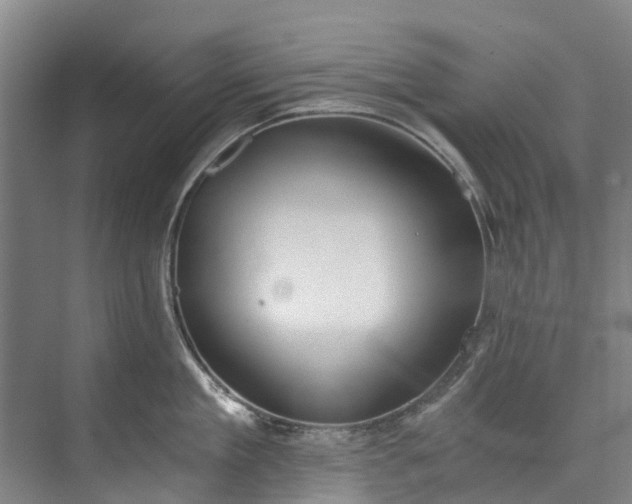 X0000072950909200608041304